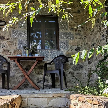 Olmares Terrace Apartment - Picos De Europa Lomena Екстер'єр фото