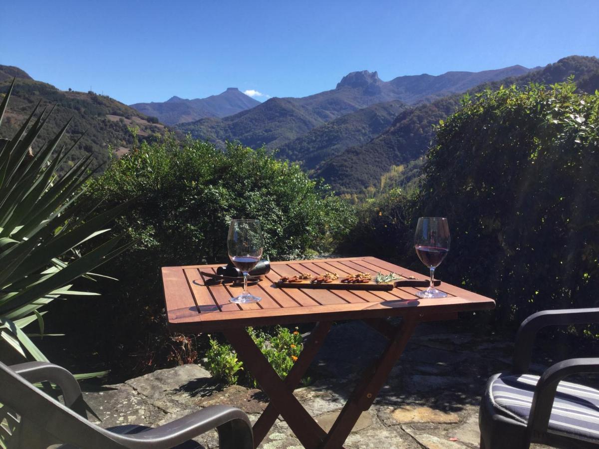 Olmares Terrace Apartment - Picos De Europa Lomena Екстер'єр фото