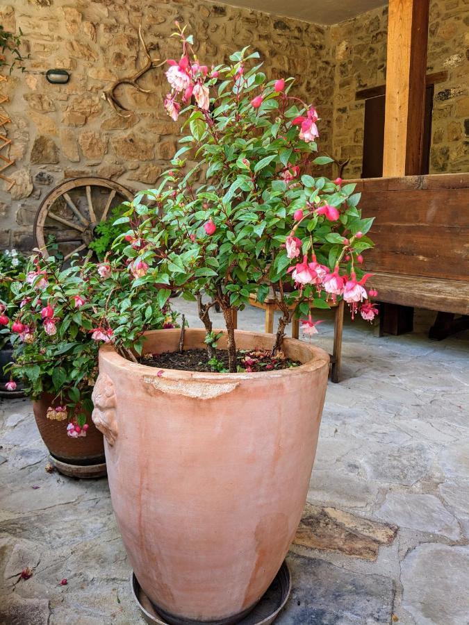 Olmares Terrace Apartment - Picos De Europa Lomena Екстер'єр фото